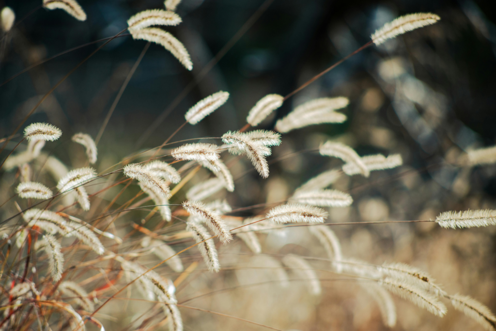 Tarifs sophrologie en don libre et conscient, accompagnements accessibles et adaptés à chaque situation.